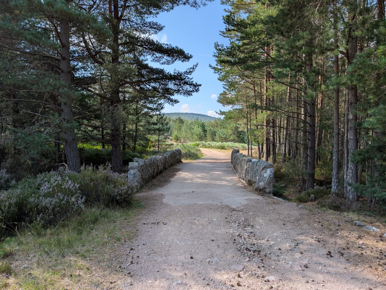 Gravel path over a stone bridge with tall trees either side