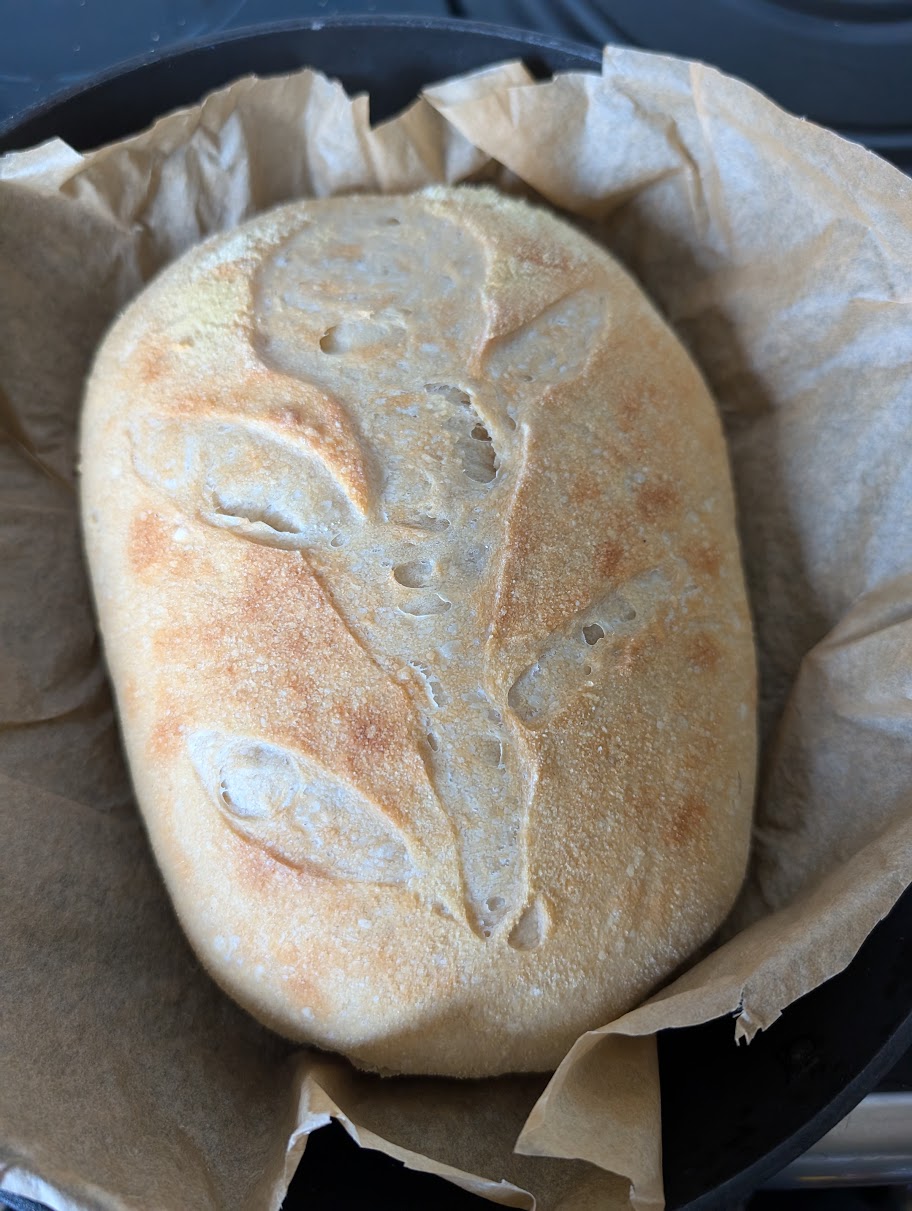 Sourdough Bread